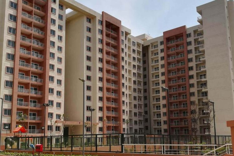 Brigade Northridge neo3