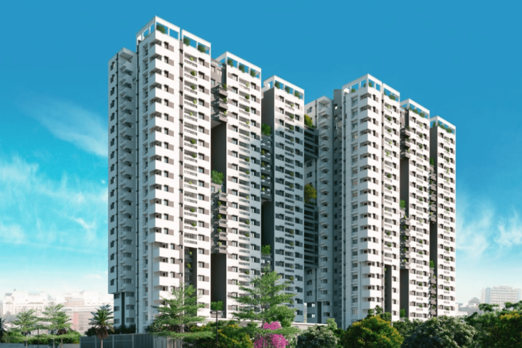 MJR North Park-img1-min