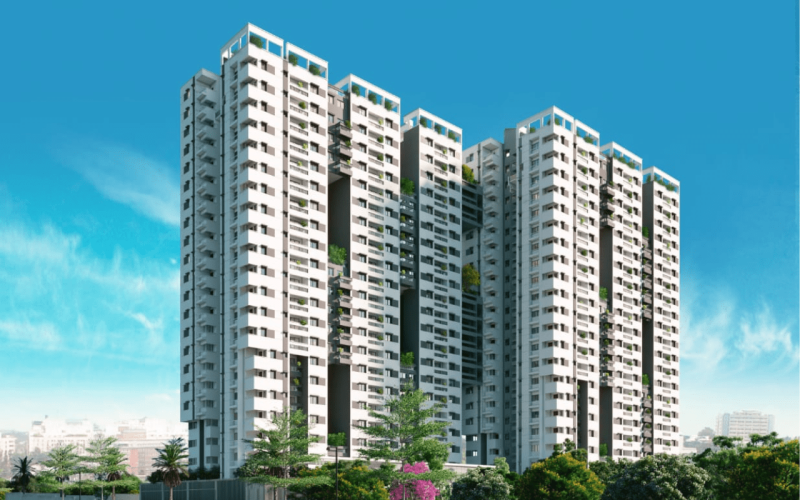 MJR North Park-img1-min