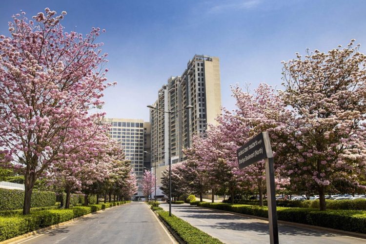 Nikoo Homes 6 - img1-min