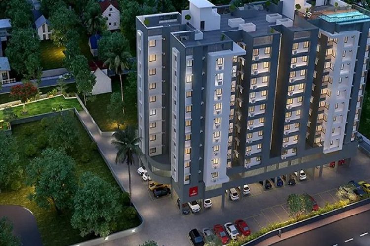 Orchid Bloomberry4.png