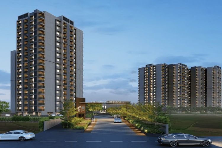 Orchid Bloomberry5.png