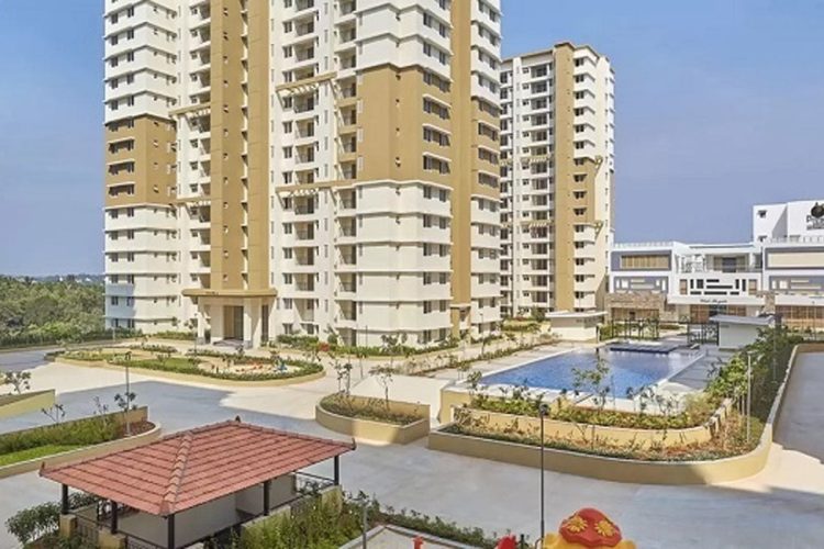 Prestige Somerville-img3-min