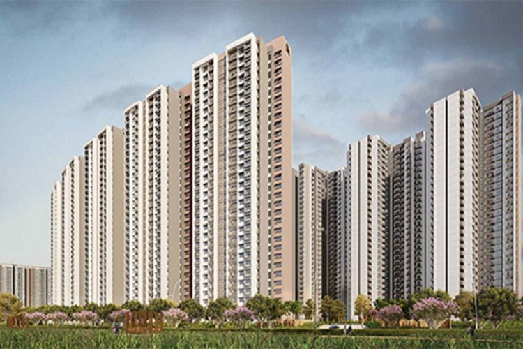 Prestige Somerville-img4-min