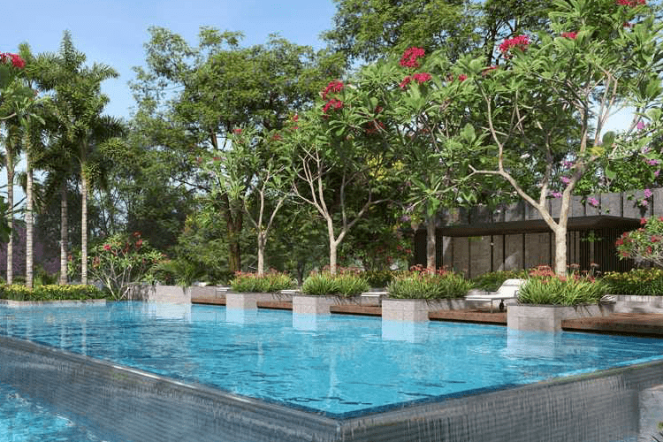 Prestige serenity shores7