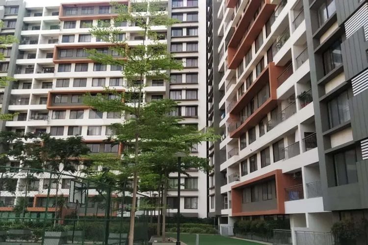 Pride Enchanta-Img3-min