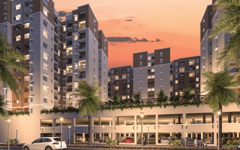 Provident-Botanico-img3