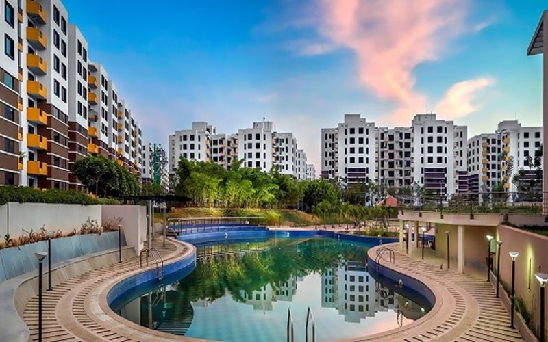 Purva-Blubelle-img3-min