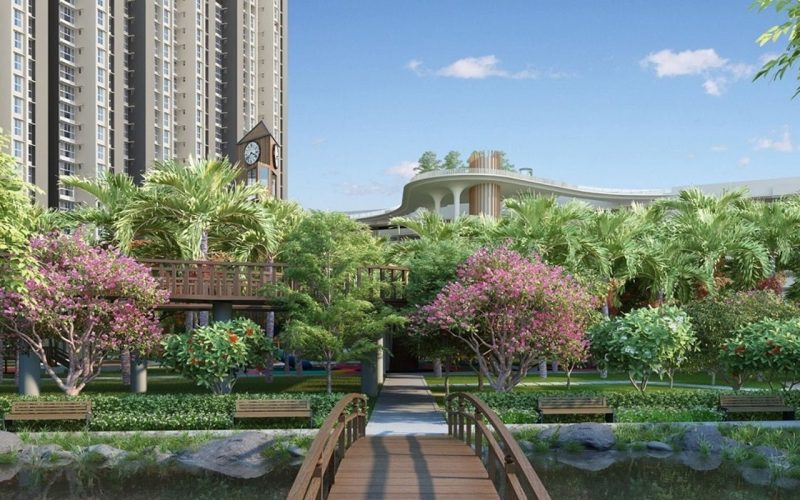 Purva-Blubelle-img4-min