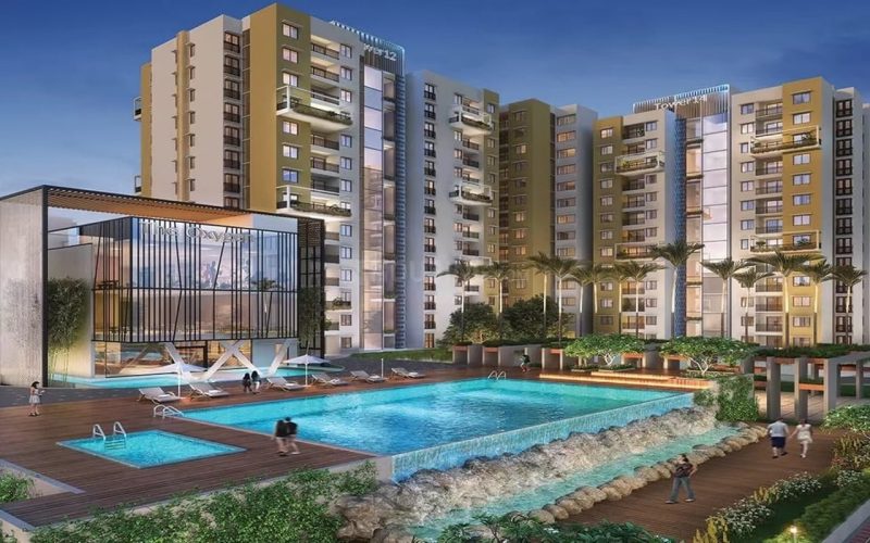 Purva Celestial-img2