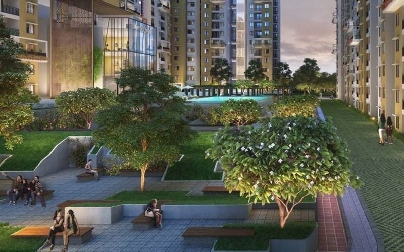 Purva Celestial-img3