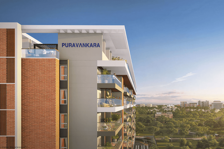 Purva meraki5
