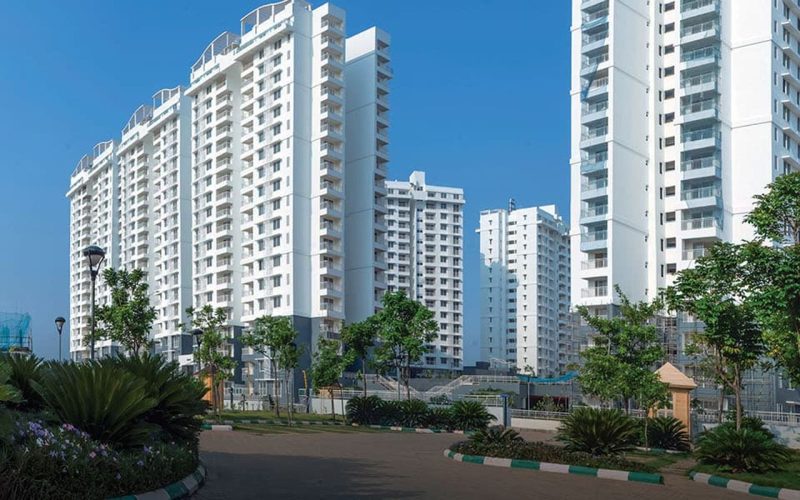 Purva promenade2