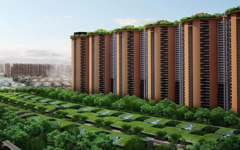 Total Environment, Whitefield4